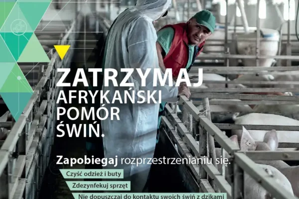Powiatowy Lekarz Weterynarii w Zgierzu ostrzega przed ASF – apel o bioasekurację