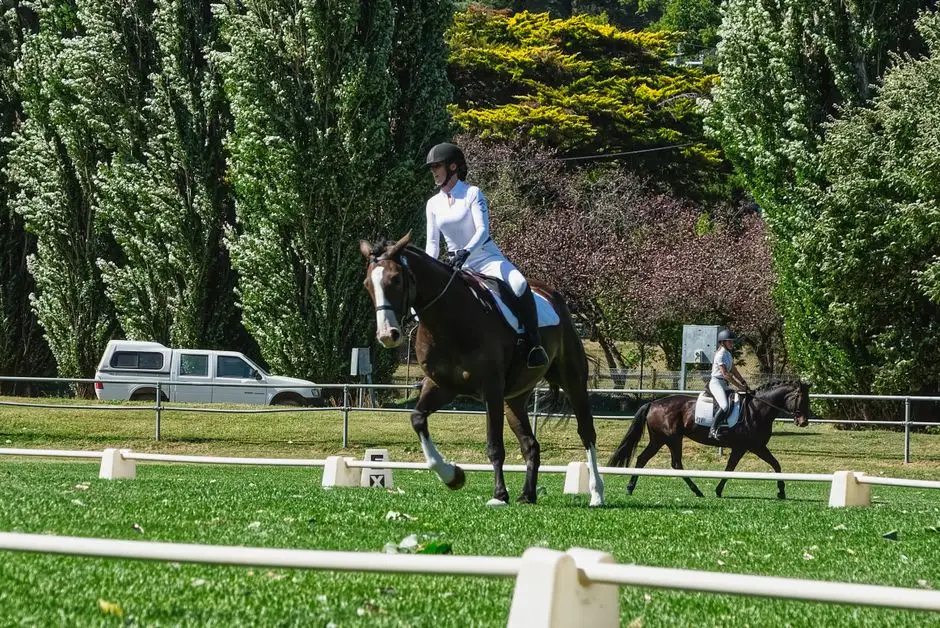 Hobby horse na dzikim zachodzie – nietypowa atrakcja na pikniku w Aleksandrowie Łódzkim