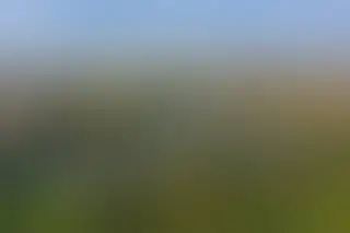 Ostrzeżenie meteorologiczne: burze z gradem w powiecie zgierskim