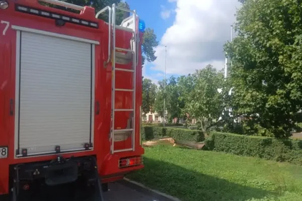 Interwencja strażaków w Głownie: usunięcie złamanego konaru