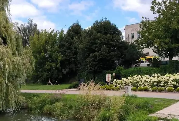 Drugi Plener Malarski w Strykowie: artyści tworzyli mimo deszczu