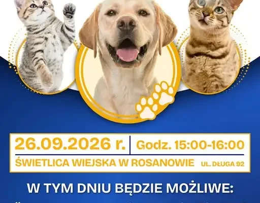 Bezpłatne czipowanie zwierząt w Rosanowie – już w najbliższą sobotę
