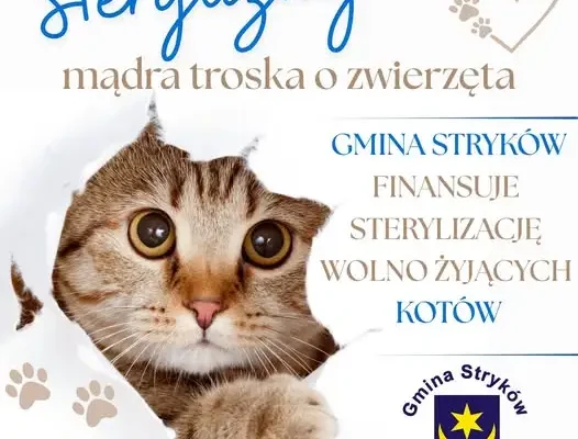 Gmina Stryków finansuje sterylizację i czipowanie zwierząt