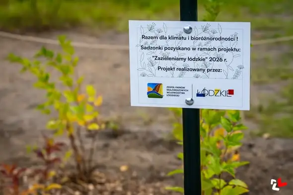 Zgierz: 100 nowych sadzonek przy siłowni na Parzęczewskiej