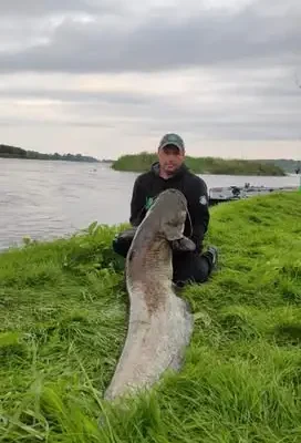 Marcin Lewandowski z Głowna łowi 100-kilogramowe sumy