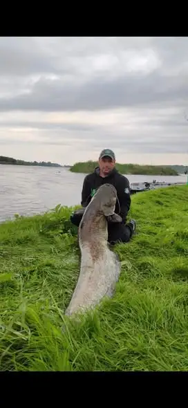 Marcin Lewandowski z Głowna łowi 100-kilogramowe sumy