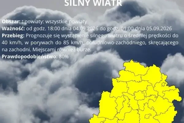 Ostrzeżenie meteorologiczne I stopnia: silny wiatr w gminie Zgierz