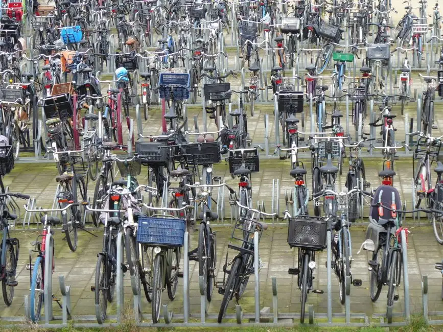Nowe stojaki rowerowe w Aleksandrowie Łódzkim – 100 miejsc dla uczniów