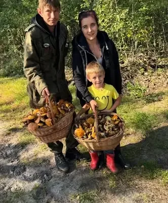 Grzybowy szał w lasach wokół Starego Adamowa