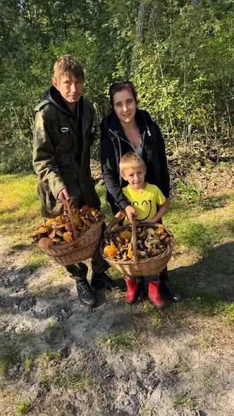 Grzybowy szał w lasach wokół Starego Adamowa