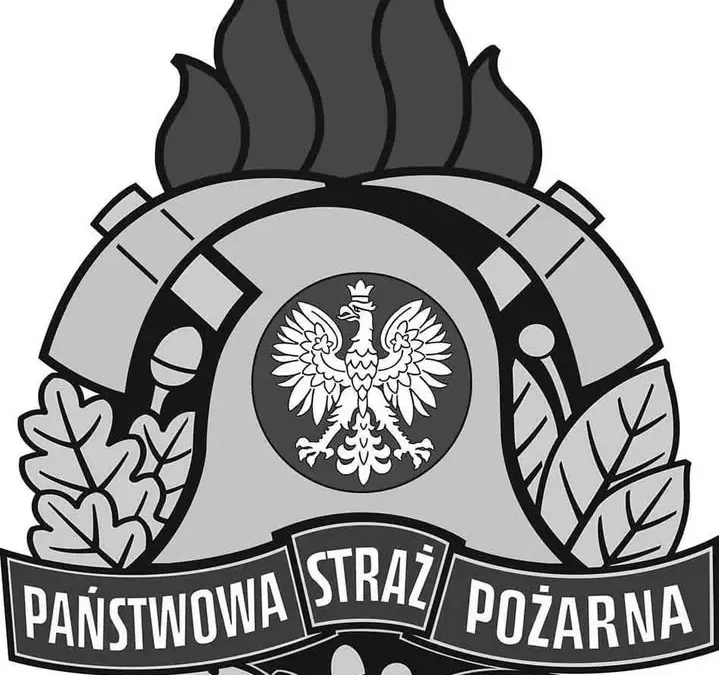 Gmina Zgierz stawia na odporność: konferencja o OSP i KGW w obliczu kryzysów
