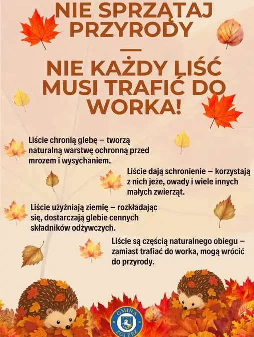 Jesienne liście – dlaczego nie warto ich wszystkich grabić?