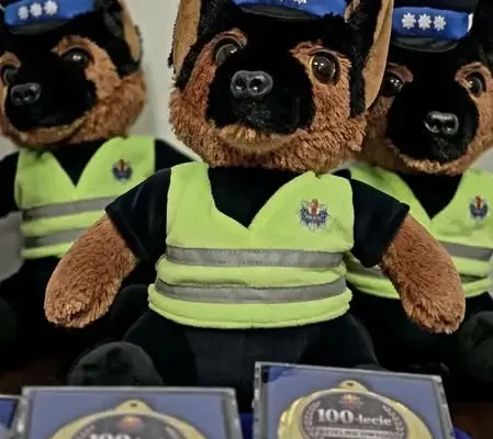 Stulecie dzielnicowego. Zgierz świętował jubileusz policji