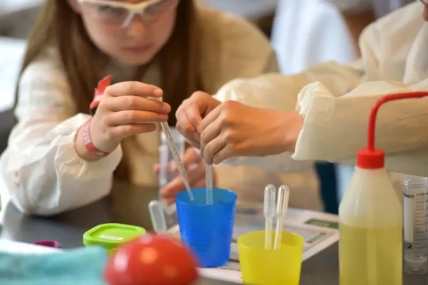 BioLab w Aleksandrowie Łódzkim: uczniowie izolowali DNA z truskawek i bananów
